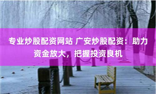 专业炒股配资网站 广安炒股配资：助力资金放大，把握投资良机