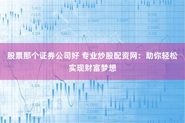 股票那个证券公司好 专业炒股配资网：助你轻松实现财富梦想
